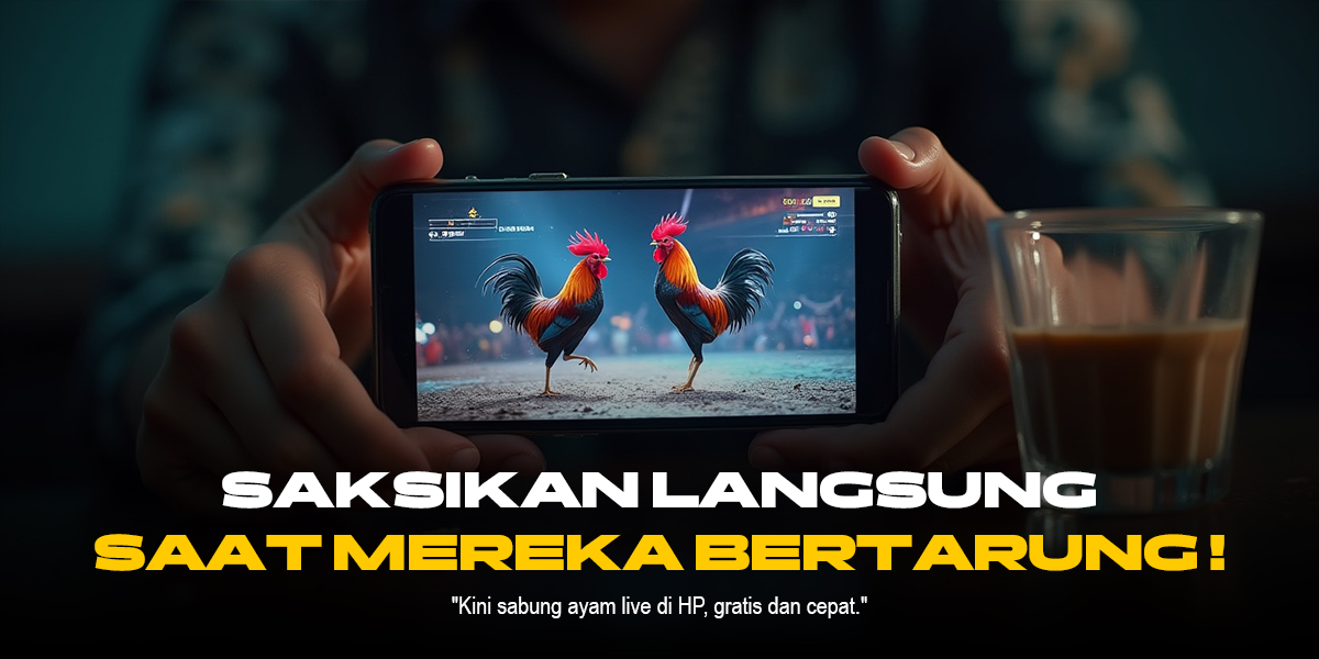 Mengungkap Jenis Ayam Aduan Sabung Ayam SV388 yang Paling Dicari